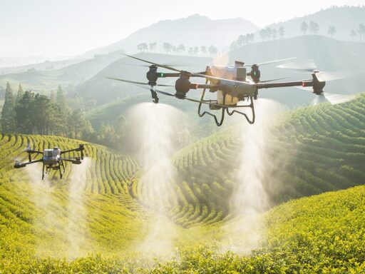 Drone
